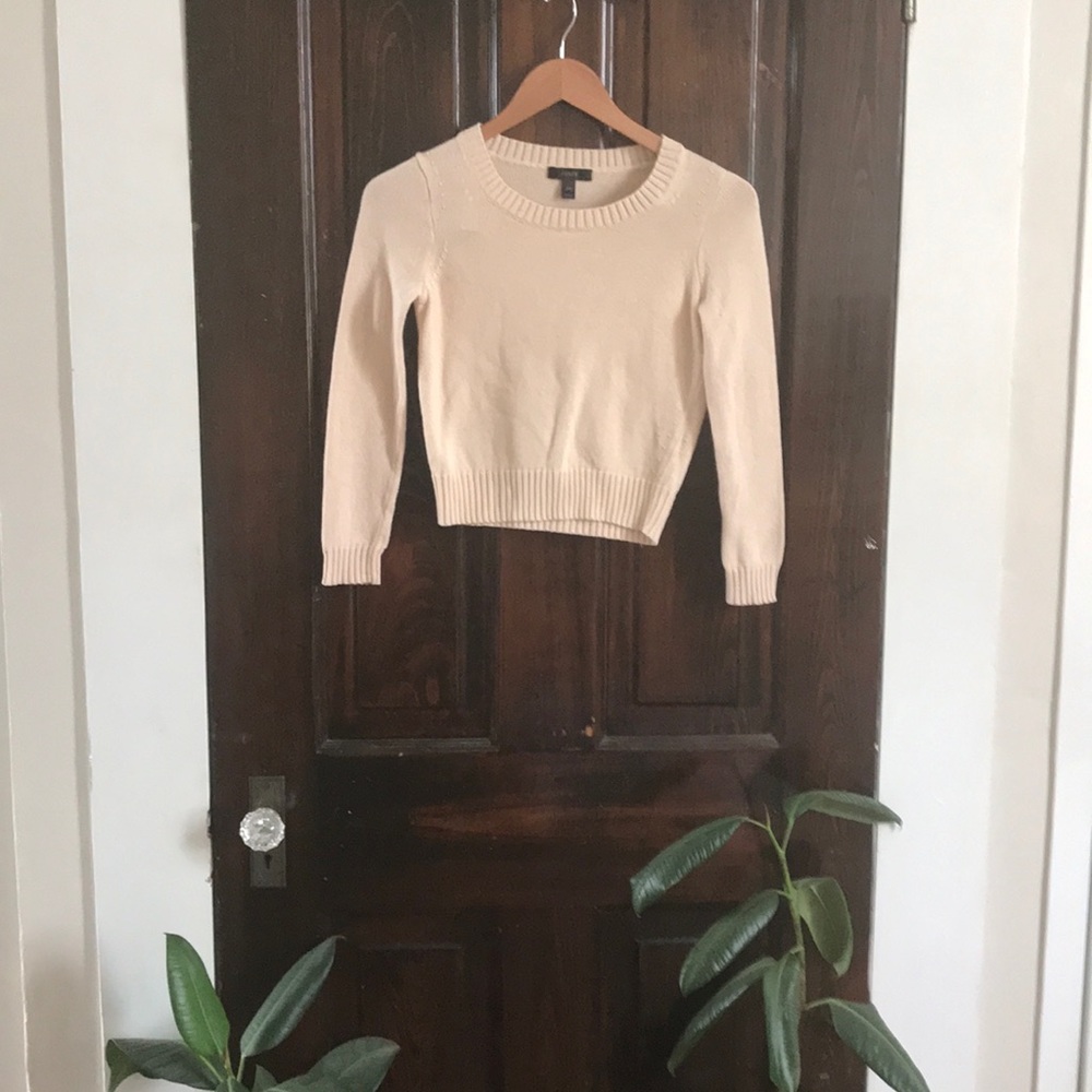 J Crew sweater